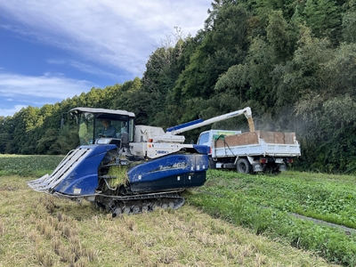 福島県新地町産 こしひかり 令和7年度産 精米 5kg