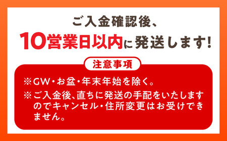 グリコJAさが生まれ牛乳1L×6本セット 計6L / 生乳100% 成分無調整 / 佐賀県 / 有限会社中島商店 [41AGAC005]
