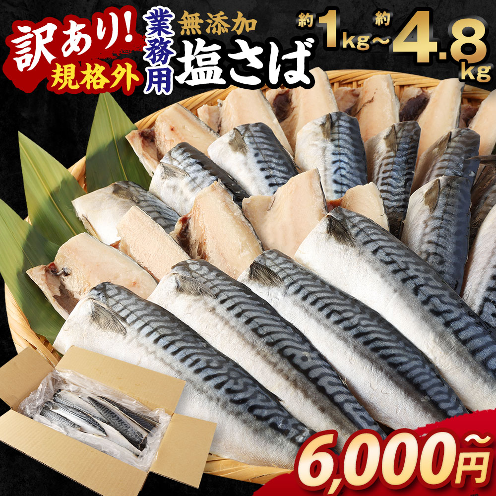 【ふるさと納税】＜選べる＞訳あり 規格外 業務用 無添加 塩さば 1kg 1.5kg 1.9kg 3kg 4.8kg 鯖 サバ さば 魚 国内加工 冷凍 茨城県 神栖市 送料無料