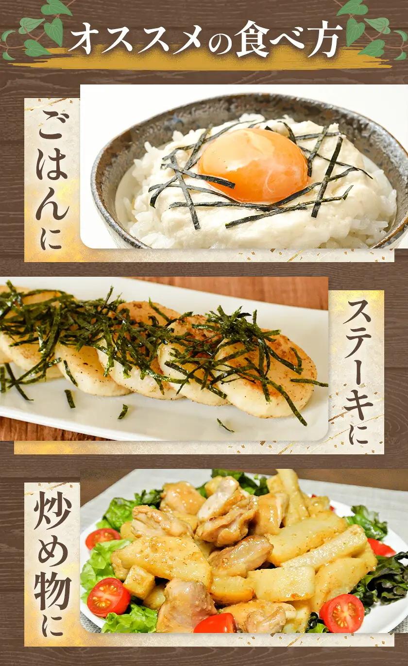 2026年 先行予約【訳あり】十勝豊頃産 ながいも 10kg 植村農場 《12月上旬-12月末頃出荷予定》