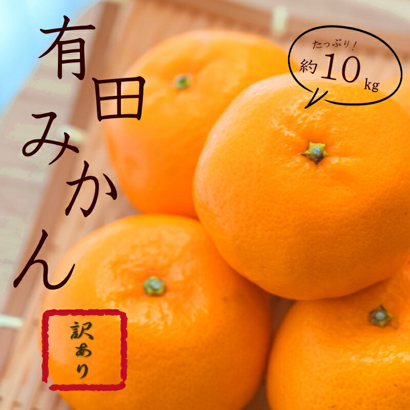 【ふるさと納税】紀州有田みかん 約10kg 訳あり　キズ　御家庭用　サイズ混合 ※2026年11月下旬～2027年1月中旬順次発送予定