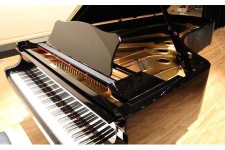 No.313 行田市産業文化会館　大ホールをひとりじめ！（ピアノ利用あり）