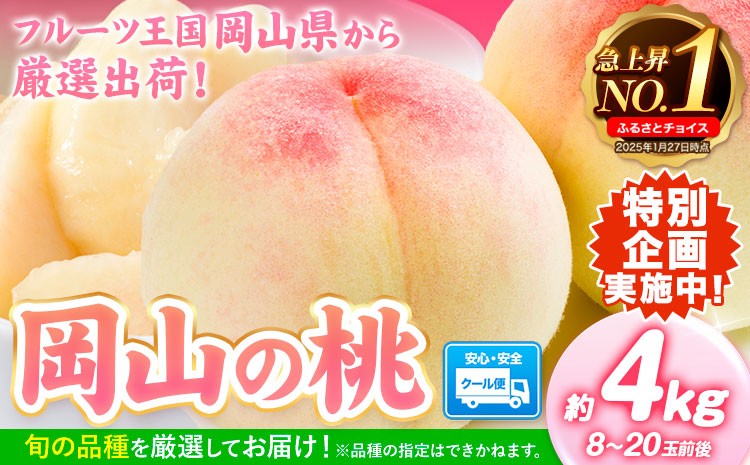 
                  【豊作につき特別寄附額】最短翌営業日発送！ 桃 岡山県産 岡山の桃 約4kg  《1～5営業日以内に出荷》 ご家庭用 訳あり 白桃 岡山 白桃 はくとう スイーツ フルーツ 果物 デザート 旬 岡山県 矢掛町 モモ もも 送料無料 清水白桃 白鳳 白麗
                