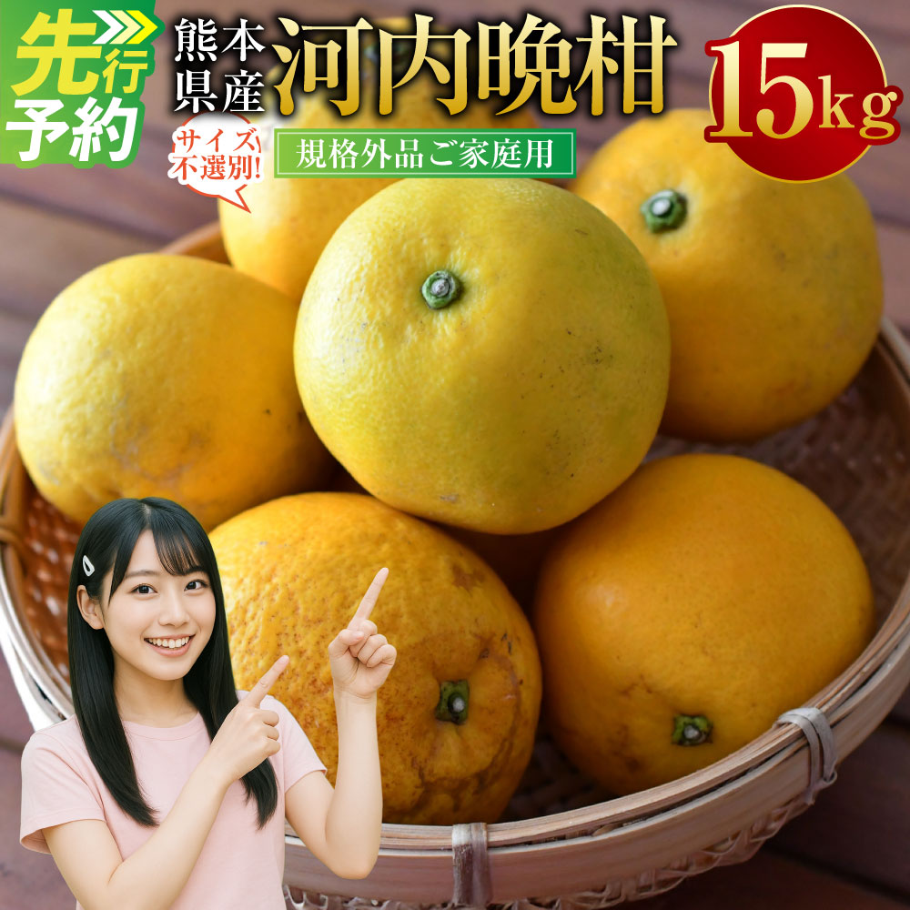 【ふるさと納税】＜ R8年熊本地震復興支援 ＞ 【規格外品】河内晩柑 ご家庭用 15kg サイズ不選別 訳あり 和製グレープフルーツ みかん フルーツ 果物 柑橘 熊本県産 九州産 送料無料 【2027年3月下旬～6月下旬迄順次発送予定】