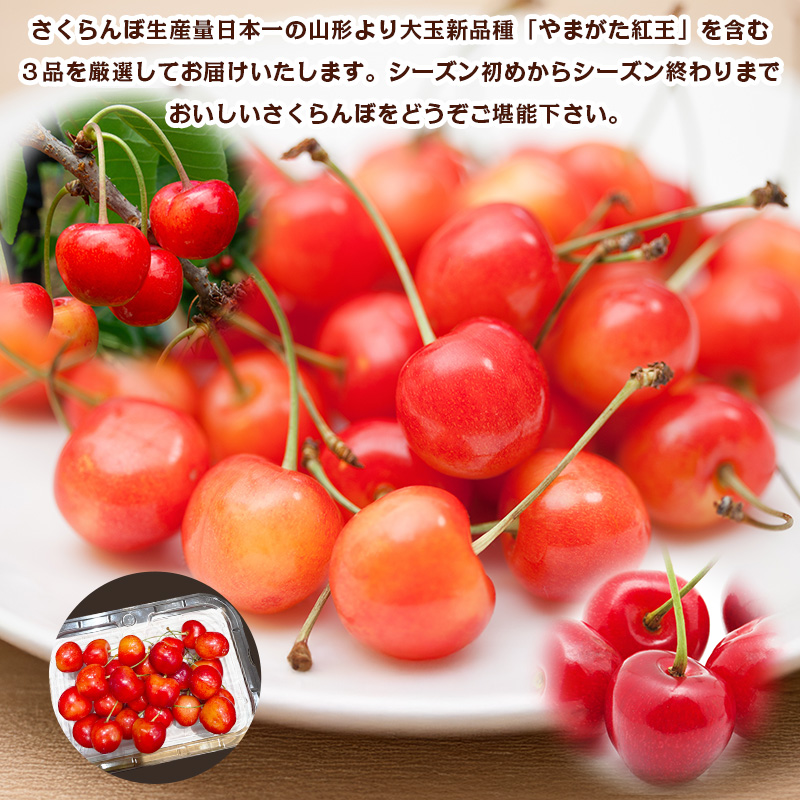 【定期便3回】数量限定！山形さくらんぼ厳選３品味めぐり