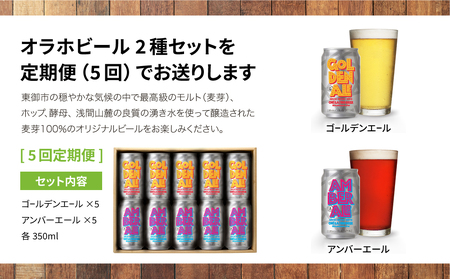 【5回定期便】クラフトビール「ゴールデンエール」＆「アンバーエール」 10本 飲み比べ｜オラホビール 地ビール※インターナショナル・ビアカップ2020銀、銅受賞セット