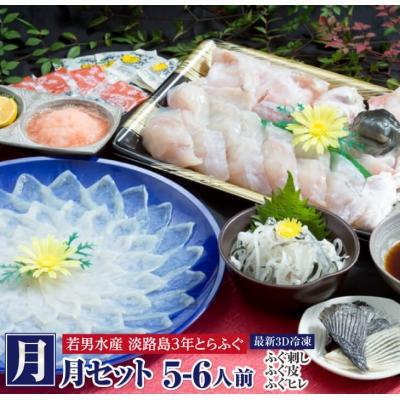 ふるさと納税 南あわじ市 【若男水産】【淡路島3年とらふぐ】月 ふぐ鍋　刺身セット/冷凍(5〜6人前)