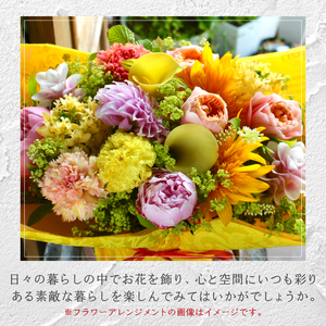 【3ヶ月定期便】花のある生活～小松弘典が手がけるフラワーアレンジメント～イメージ別に選ぼう！ポップなイメージ（Mサイズ）【定期便：毎月１回×３ヶ月】