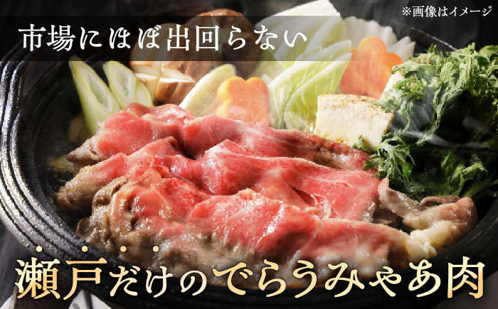 瀬戸山麓牛赤身スライス500g（250g×2P）/ 牛肉 お肉 国産 冷凍 / 瀬戸市 / 関屋精肉店 [BBBQ033]