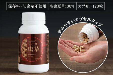 サプリ 日本産冬虫夏草 モノリス虫草カプセル 120カプセル 1本 (1本30g) 