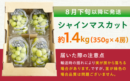【先行予約！2024年8月下旬より順次発送】産地直送 シャインマスカット 約1.4kg 　広川町/JAふくおか八女農産物直売所どろや[AFAB007]