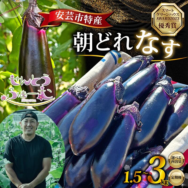 【ふるさと納税】 朝採れ ナス 選べる 1.5kg or 3kg 農家直送 新鮮 茄子 なす ナスビ 薄皮 漬物 味噌汁 カレー 中華料理 野菜 夏野菜 ベジタブル 農産物 旬 季節 食材 料理 レシピ 健康 ビタミン ミネラル 栄養 食物繊維 安芸市 高知県