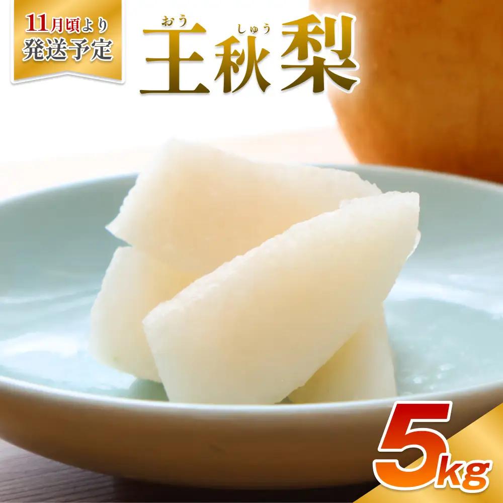 【先行予約】安田農園 梨 ”王秋梨” 5kg箱｜鳥取 岩美 梨 なし ナシ※お届けは2026年11月以降【41029】