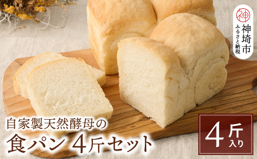 
自家製天然酵母の食パン 4斤【パンと器のコネル】(H094123)
