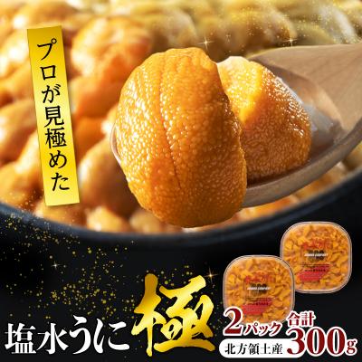 ふるさと納税 浜中町 ≪プロ厳選≫最高級塩水うに(極)計300g_H0014-133