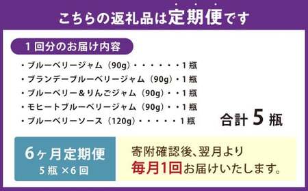 【6ヶ月定期便】きび糖 仕込みの ブルーベリー ジャム 5種 セット 各90g×1瓶 ブルーベリージャム りんごジャム 瓶詰め 瓶