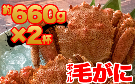 【訳あり】北海道産 冷凍ボイル毛がに（約660g×2杯）かに 蟹 かにみそ 小分け 毛蟹 海産物 魚介類 水産物応援 水産物支援  かに 毛がに 毛ガニ 海の幸 カニ ガニ 魚介 海鮮 食品 北海道 南幌町 NP1-315