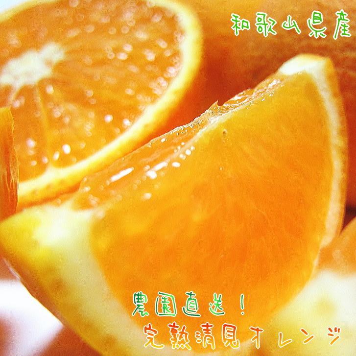 【ふるさと納税】有田育ちの 完熟 清見 オレンジ（ご家庭用）約3kg［先行予約］［MS32］ | フルーツ 果物 くだもの 食品 人気 おすすめ 送料無料 農家直送