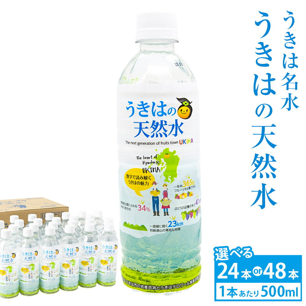 【ふるさと納税】【選べる容量】うきは名水 うきはの天然水 (500ml×24本入り) ナチュラルミネラルウォーター お水 水 天然水 ミネラル ウォーター ペットボトル 送料無料 福岡県 うきは市