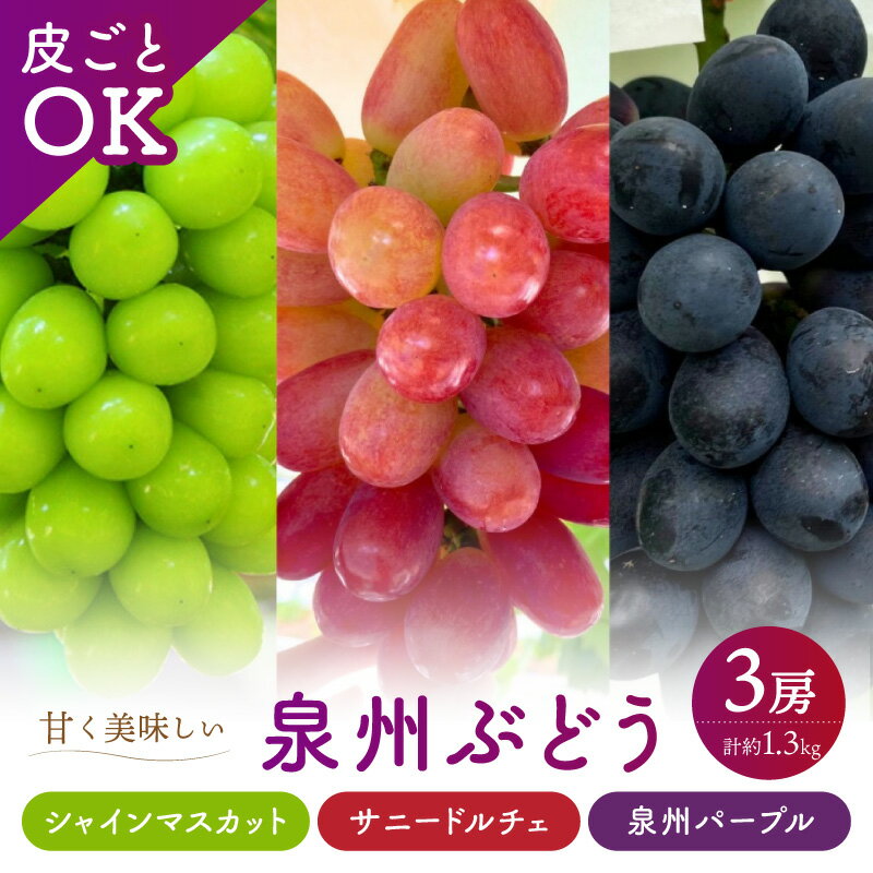 【ふるさと納税】泉州ぶどう【皮ごとOK】泉州パープル シャインマスカット サニードルチェ 各1房セット ふるさと納税 果物 くだもの ぶどう シャインマスカット 泉州ぶどう セット