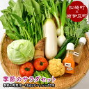 【ふるさと納税】伊豆からお届け！季節のサラダセット（ 南伊豆町 × 松崎町 ） 野菜 詰め合わせ 無添加 ドレッシング 和風ドレッシング 人参ドレッシング 野菜セット