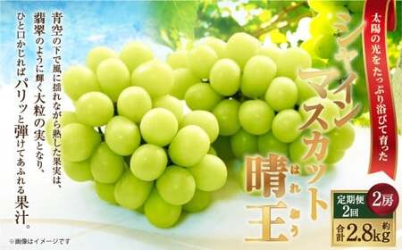 [HS]【2回定期便】シャインマスカット 晴王 2房 約1.4kg【2026年9月上旬～10月下旬発送予定】マスカット 葡萄 ぶどう ブドウ フルーツ 果物 くだもの デザート 冷蔵 岡山県 倉敷市