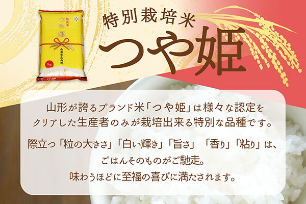 【新米受付】令和8年産 特別栽培米 つや姫 無洗米 6kg 2kg×3袋 2026年産 ブランド米 米 国産 単一原料米 山形 庄内平野 コシヒカリの原点、亀の尾発祥の地 庄内【R8.10月以降発送開