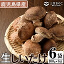 【ふるさと納税】数量限定！原木生しいたけ(6袋・計1.2kg) 国産 しいたけ 生 椎茸 シイタケ きのこ 個包装 小分け 自然栽培【三笠えのき茸生産組合】a-12-219-z