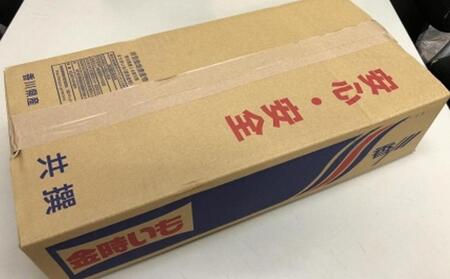 ＜2026年8月下旬以降発送・先行予約＞【訳あり】坂出金時いも　約5kg×2箱　2L～Mサイズ