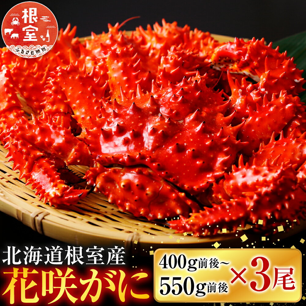 【ふるさと納税】 [北海道根室産] 花咲かに400g前後〜550g前後×3尾 花咲がに 花咲 花咲ガニ 花咲蟹 かに カニ 蟹 お取り寄せ グルメ 海鮮 北海道 根室市 ふるさと納税 A-36029