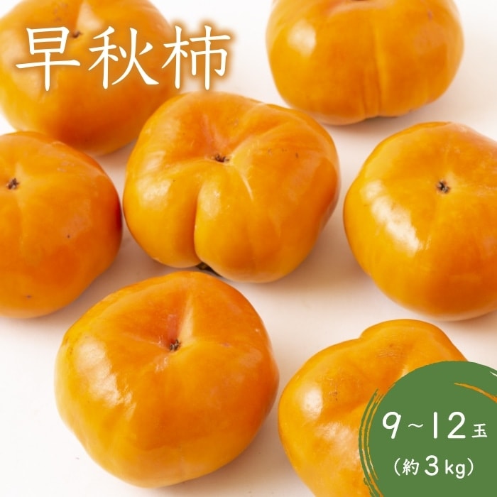 【先行受付】西見柿農園 早秋柿 9から12玉 (約3kg)