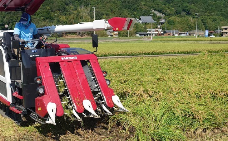 宝珠米コシヒカリ　玄米10キロ
