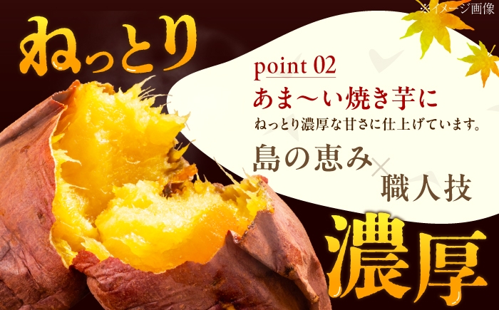 さつまいも 紅はるか 安納芋 芋 サツマイモ やきいも 大学芋 饅頭 焼酎 酒