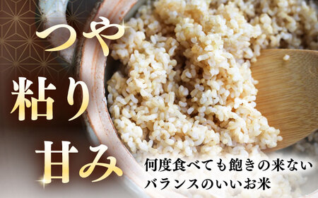 【隔月全2回定期便】【玄米】ななつぼし さくら米 10kg 特A 北海道[AXAB081]