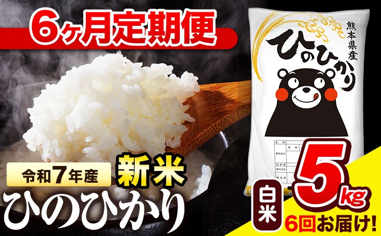 
             令和7年産 白米 【6ヶ月定期便】 ひのひかり 5kg《お申込み翌月から出荷》 熊本県産 白米 精米 氷川町 ひの 送料無料 ヒノヒカリ コメ 便利 ブランド米 お米 おこめ 熊本 
          