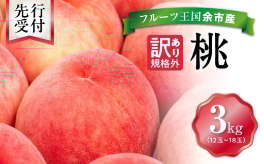 【先行予約：2026年8月中旬以降発送】フルーツ王国余市産「桃」規格外品3kg【ニトリ観光果樹園】