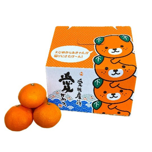 【2026年12月上旬から発送】愛果28号 (紅まどんな と同品種) 約2.5kg 家庭用 | 紅まどんな と同品種 みかん 【TMN105_x】