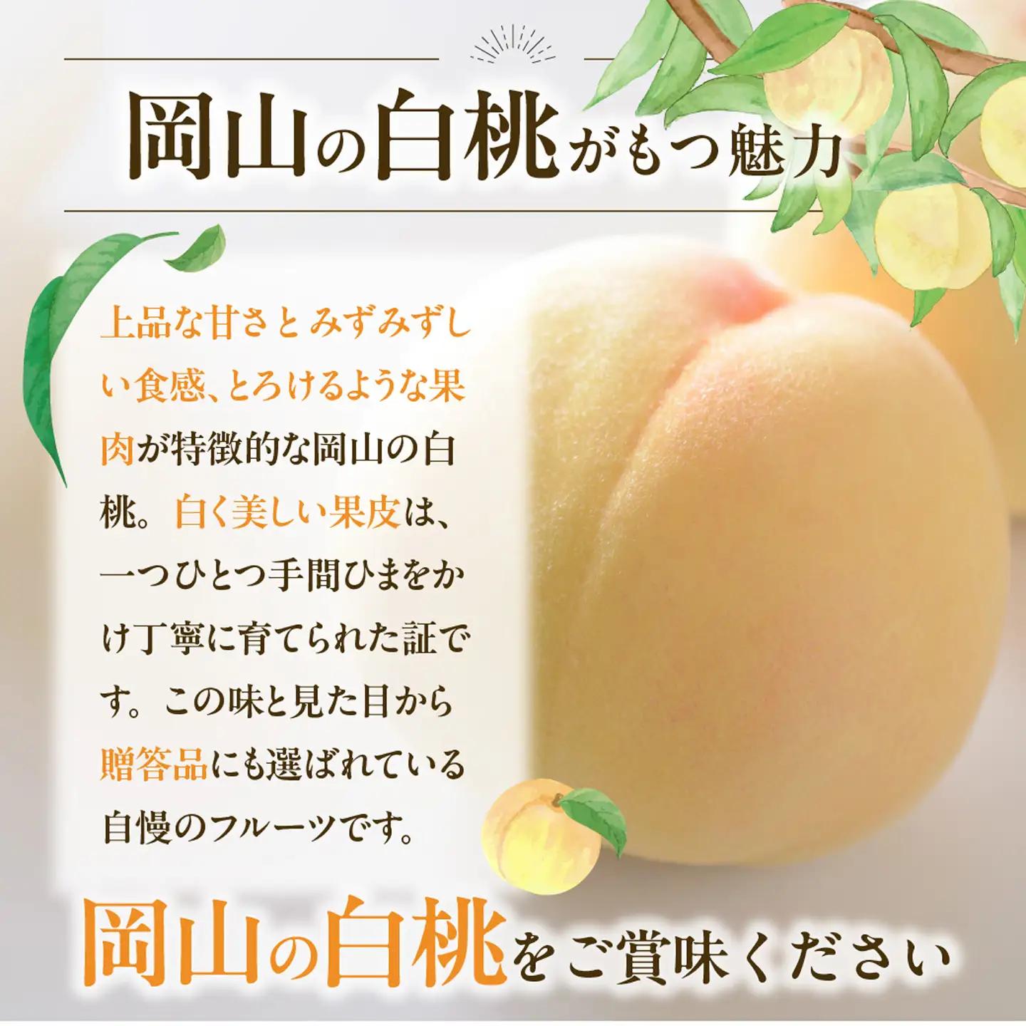 【2026年発送分　先行受付開始！】【定期便】びぜん白桃　味くらべセット　約2kg×4回発送（令和8年6月下旬～7月頃発送）【桃】