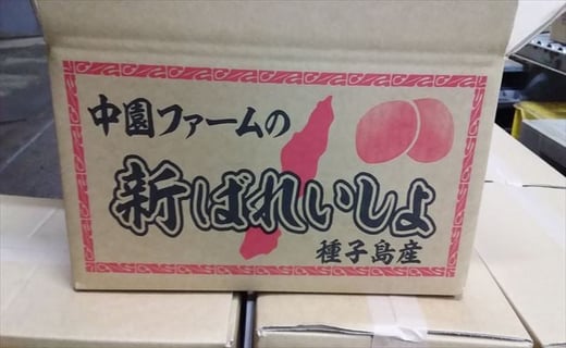 他の地域よりも、ちょっと早い！種子島の春を告げる【新じゃがいも】をお届けいたします！