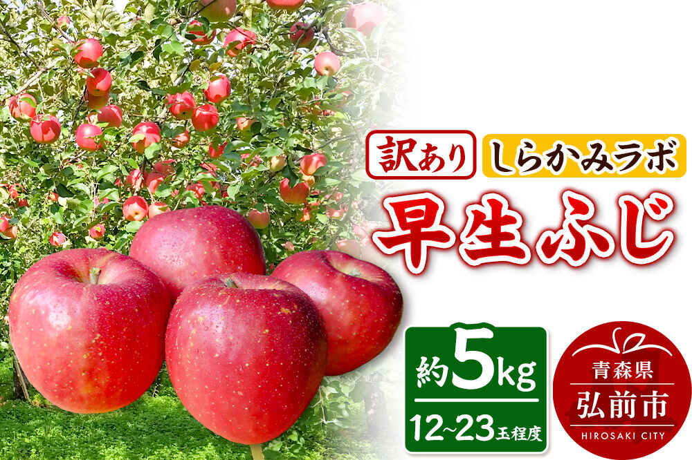 【26年10月発送】りんご 早生ふじ【訳あり】約5kg 先行受付 しらかみラボ 家庭用 青森県 弘前市 果物 フルーツ 林檎 リンゴ くだもの 不揃い 規格外 [先行予約 産地直送 アップル おいしい
