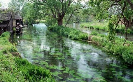 ［国産］パピー用　ヨシオカドッグフード 犬用 ワンちゃん用 愛犬用 子犬用 生後3ヶ月から 成長期用 丸粒 国産原材料 酸化防止剤不使用 防腐剤不使用 