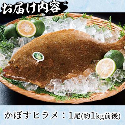 ふるさと納税 佐伯市  かぼすヒラメ (1尾・約1kg前後) |  | 02