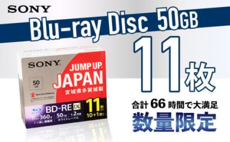 ソニー ブルーレイディスク 2層(50GB) 11枚パック 【04209-0174】 日用品 ブルーレイディスク 日用品 日本製 高品質 ストレージ 保存用 日用品 ＢＤ 日用品 日本製 高品質 ストレージ 保存用 日用品 ＢＤ 日用品 日本製 高品質 ストレージ 保存用 11BNE2VPPS2