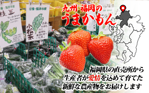 【年12回毎月】福津・むなかた旬の野菜と果物定期便　計8品【随時開始】[G5370]