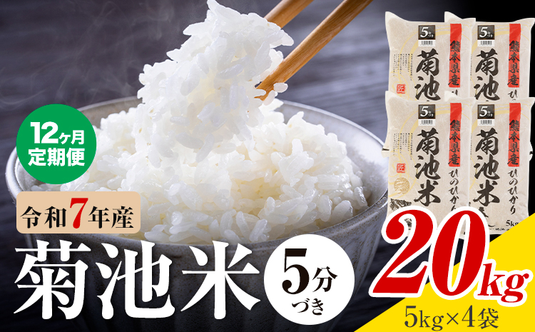 【12ヶ月定期便】令和7年産 熊本県産 菊池米 5分づき 20kg 1袋5kg 株式会社くまもとごはん 《お申込み翌月に出荷予定》米 お米 令和7年産 九州産 熊本県産  送料無料---026-3133mo12---