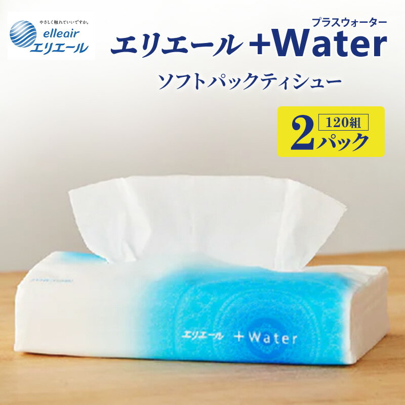 【ふるさと納税】ティッシュ 【ふるさと納税】エリエール+Water（プラスウォーター）ソフトパックティシュー120組2パック ティシューペーパー 保湿 保湿ティッシュ 日用品 消耗品 静岡 静岡県 島田市