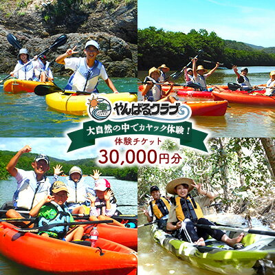 【ふるさと納税】大自然の中でカヤック体験！やんばるクラブ　体験チケット（30000円分） カヤック 体験 慶佐次川 大自然 探検 冒険 マングローブ やんばるの森 生き物 植物 亜熱帯 ガイド付き ガイドツアー 小学生 3歳 自然観察 ヤンバル やんばる 沖縄 東村