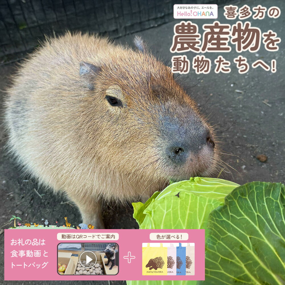 【ふるさと納税】【動物推し活サービス】全国の動物たちに"喜多方の農産品"をプレゼント！〜動物デザインの「食事動画」「トートバッグ」が付いてきます〜[レモン・パステルピンク・ブルー・ナチュラルから選択]　【07208-0729】