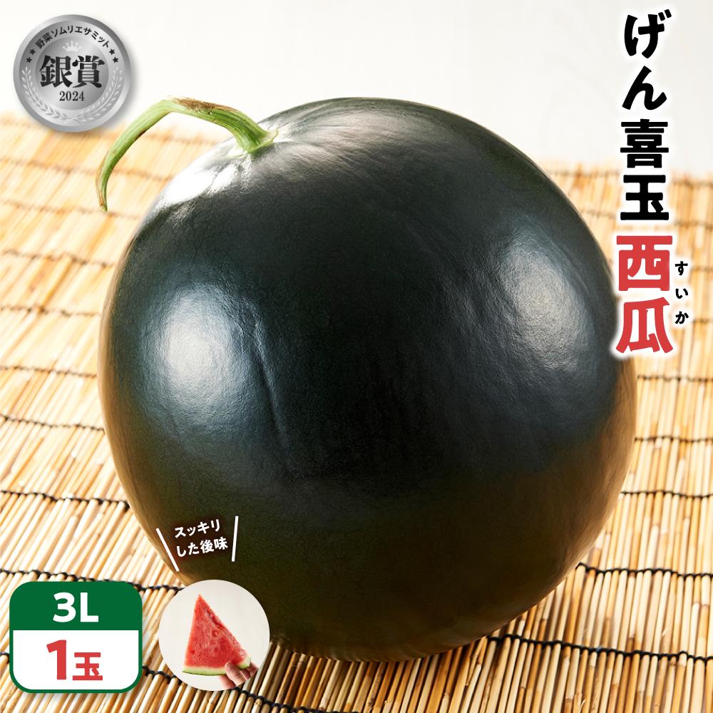 【ふるさと納税】【先行予約 2027年6月中旬以降発送】 大玉 スイカ げん喜玉 西瓜 3L（1玉） | フルーツ 果物 食品 人気 おすすめ 送料無料