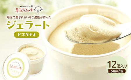 ジェラート ピスタチオ アイス ジェラート【12個】